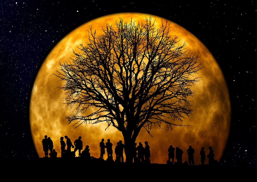 Numerology of Blood Moon Lunar Eclipse, Numerology, Advanced Numerology, Family Numerology, Relationship Numerology, Business Numerology, Personal Numerology, Professional Numerology, Lifestyle, Balance, Strategic Planning, Professional Numerology Services,