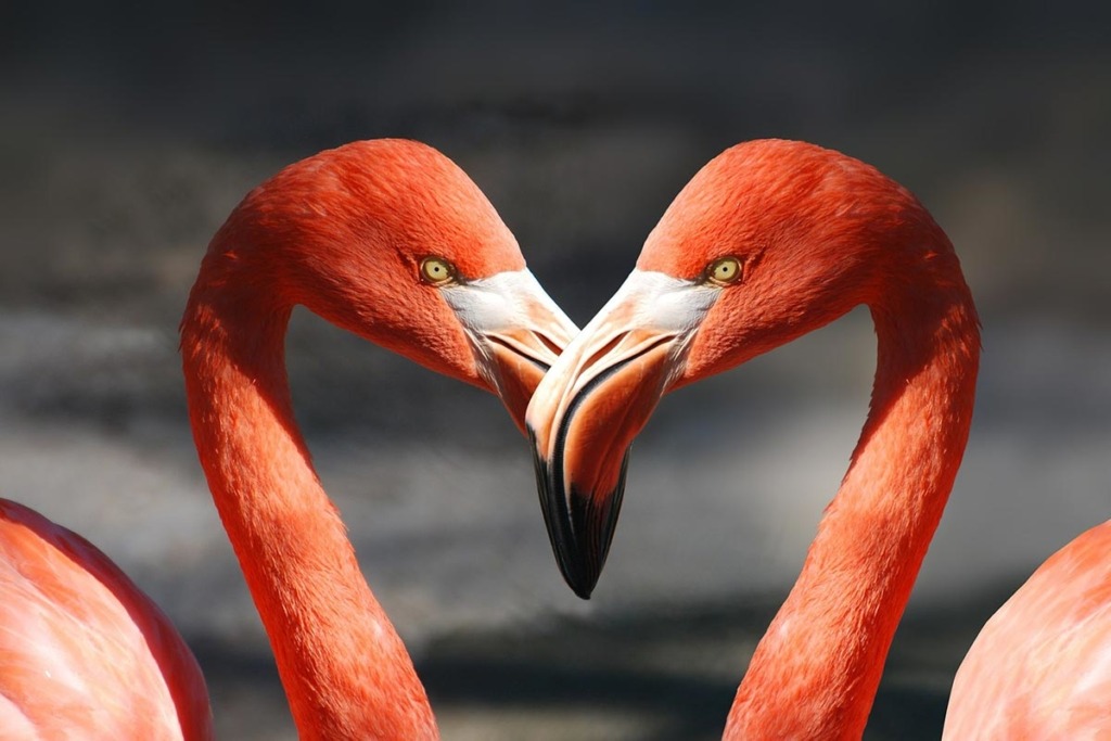 relationship numerology, marriage love numerology, 365 Pin Code, divorce numerology, numerology research, relationships numbers, twin flame numbers, save my marriage, cojoined numerology, numerology readings