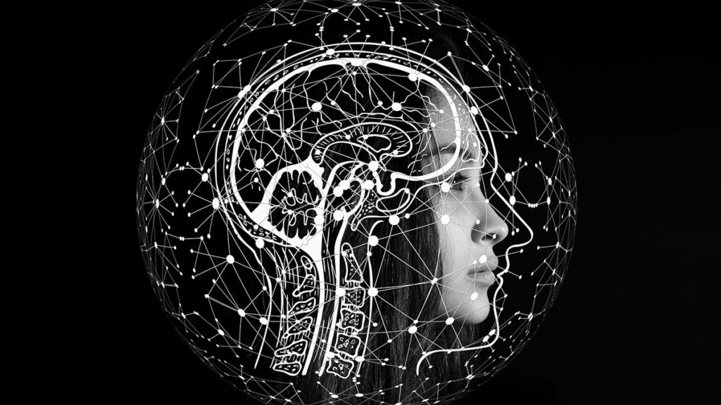365 Pin Code, strategic numerology, using the law of attraction, numerology for women, the secret, law of vibration, Suzanne Styles, Chris Styles, female numerology, The Secret Dare to Dream, LoA experts, mind power